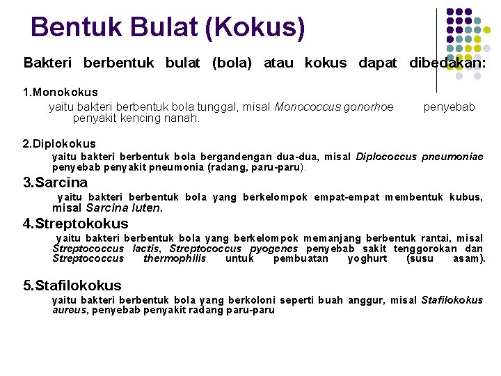 Bentuk Bulat (Kokus) Bakteri berbentuk bulat (bola) atau kokus dapat dibedakan: 1. Monokokus yaitu