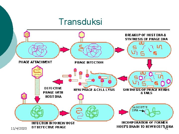 Transduksi 11/4/2020 41 