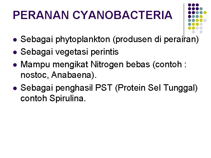 PERANAN CYANOBACTERIA l l Sebagai phytoplankton (produsen di perairan) Sebagai vegetasi perintis Mampu mengikat