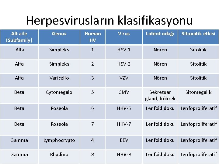 Herpesvirusların klasifikasyonu Alt aile (Subfamily) Genus Human HV Virus Latent odağı Sitopatik etkisi Alfa