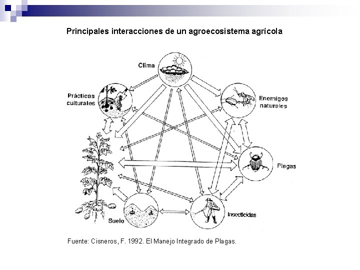 Principales interacciones de un agroecosistema agrícola Fuente: Cisneros, F. 1992. El Manejo Integrado de