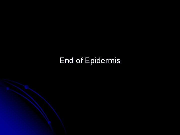 End of Epidermis 