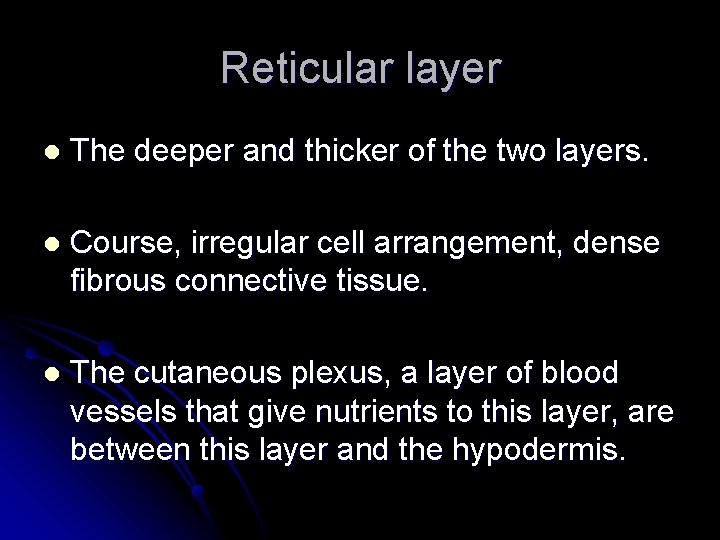 Reticular layer l The deeper and thicker of the two layers. l Course, irregular