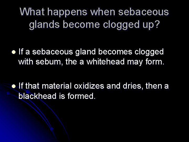 What happens when sebaceous glands become clogged up? l If a sebaceous gland becomes