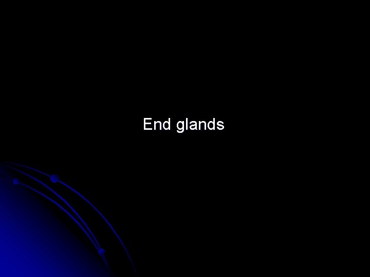 End glands 