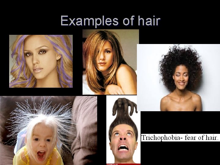 Examples of hair 