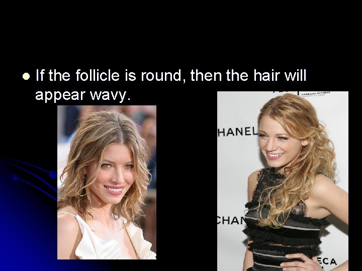 l If the follicle is round, then the hair will appear wavy. 