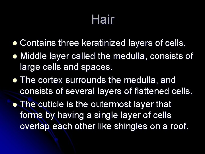 Hair Contains three keratinized layers of cells. l Middle layer called the medulla, consists