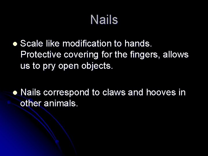 Nails l Scale like modification to hands. Protective covering for the fingers, allows us
