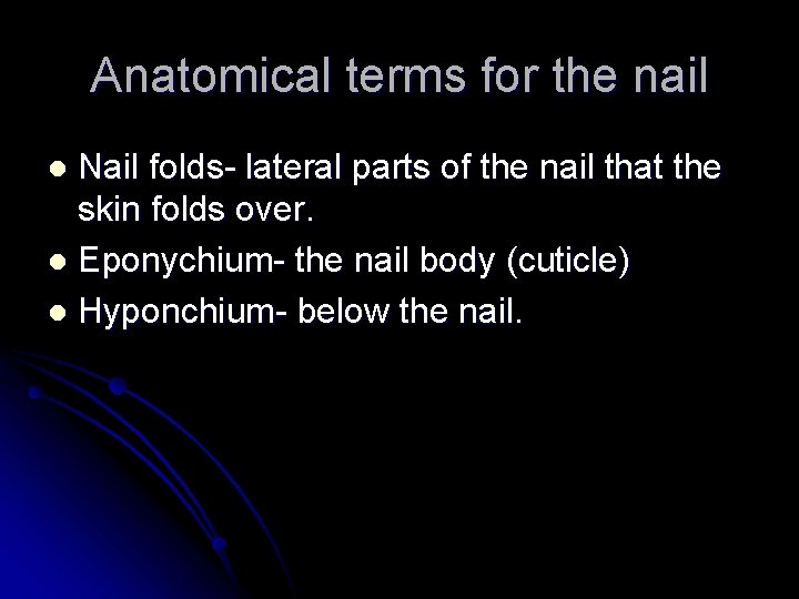Anatomical terms for the nail Nail folds- lateral parts of the nail that the