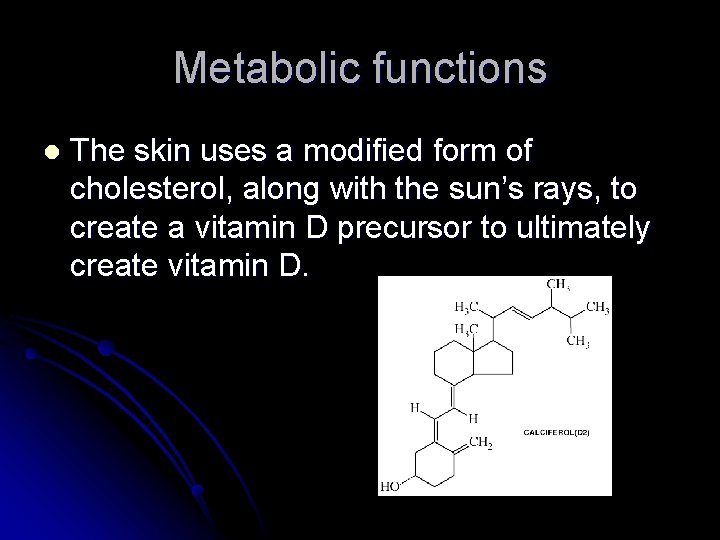 Metabolic functions l The skin uses a modified form of cholesterol, along with the