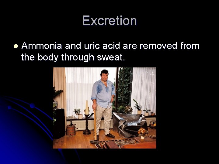 Excretion l Ammonia and uric acid are removed from the body through sweat. 