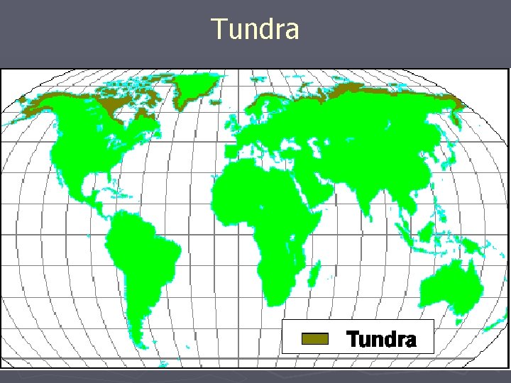 Tundra 