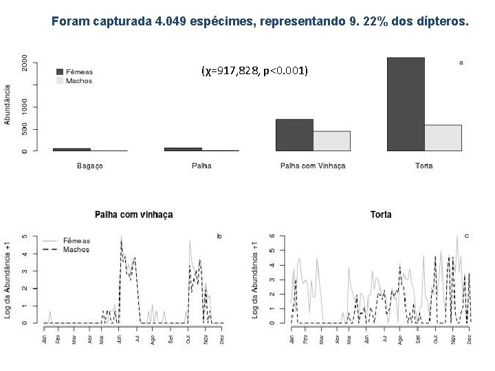 Foram capturada 4. 049 espécimes, representando 9. 22% dos dípteros. (χ=917, 828, p<0. 001)