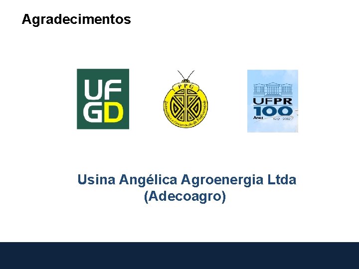 Agradecimentos Usina Angélica Agroenergia Ltda (Adecoagro) 