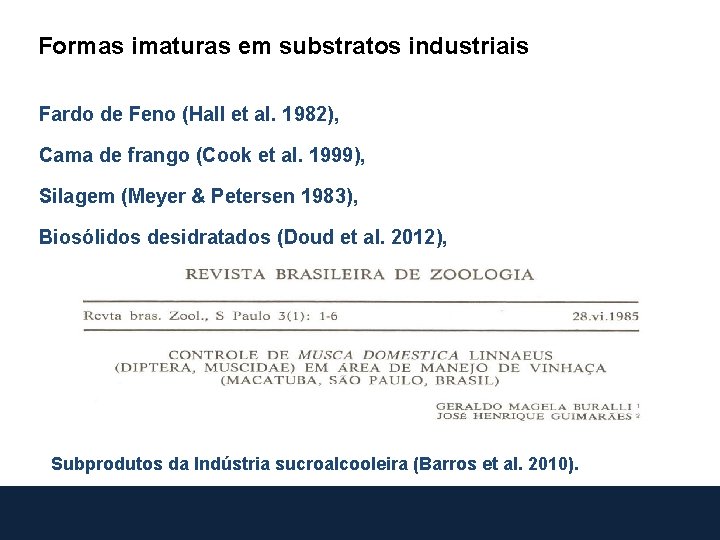Formas imaturas em substratos industriais Fardo de Feno (Hall et al. 1982), Cama de