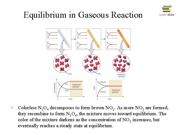 Equilibrium in Gaseous Reaction • Colorless N 2 O 4 decomposes to form brown