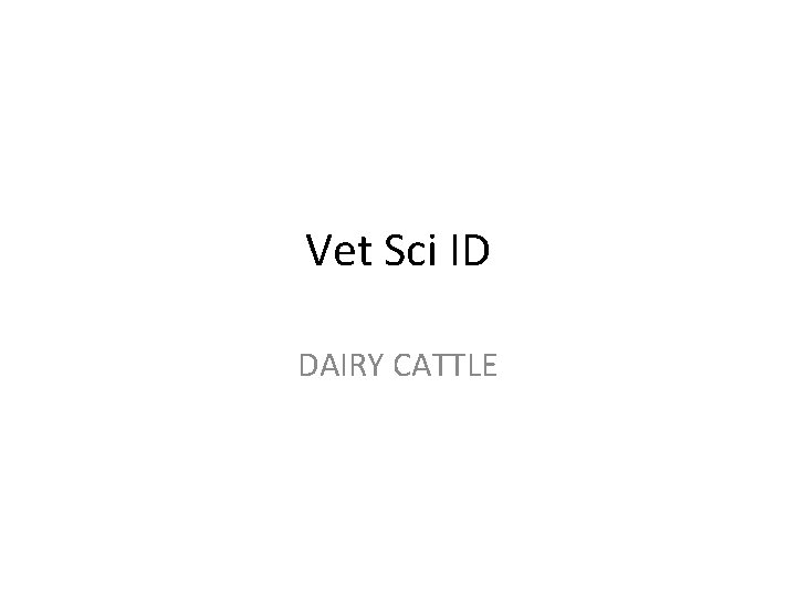 Vet Sci ID DAIRY CATTLE 