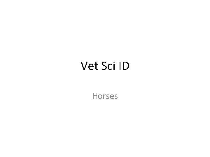 Vet Sci ID Horses 