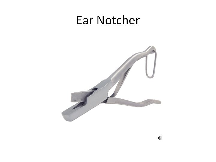 Ear Notcher 