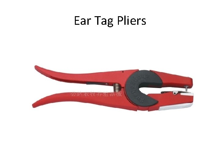 Ear Tag Pliers 