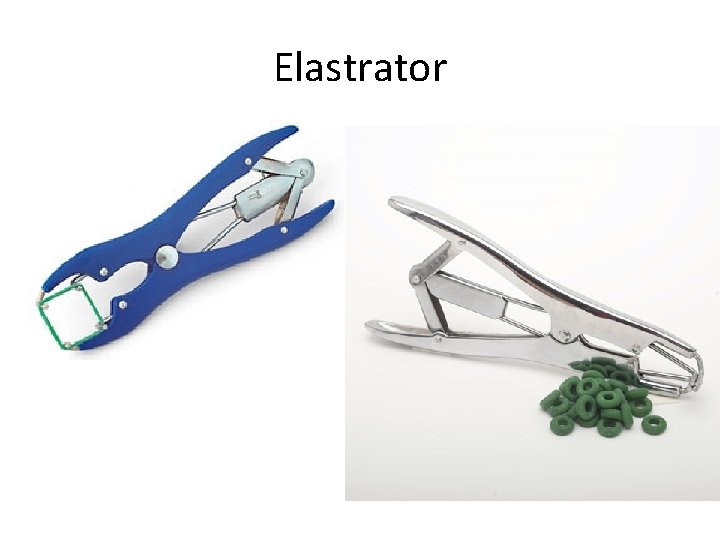 Elastrator 