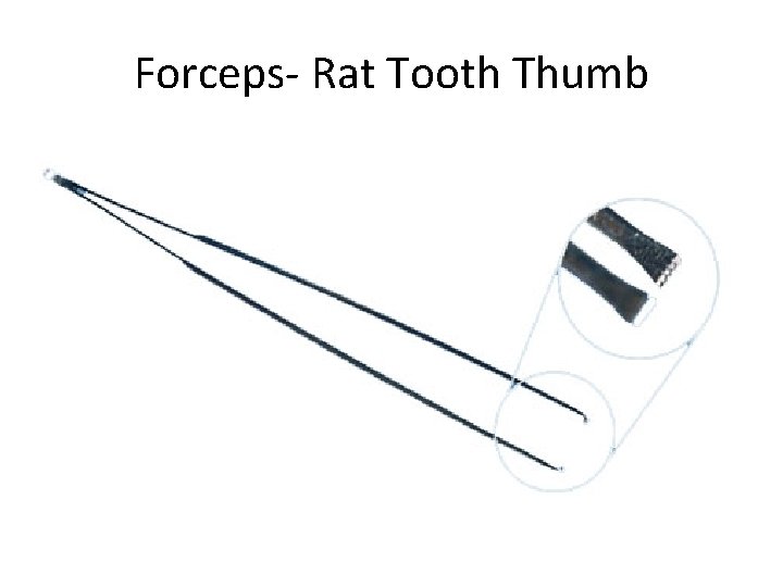 Forceps- Rat Tooth Thumb 