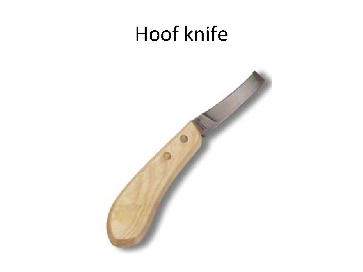 Hoof knife 
