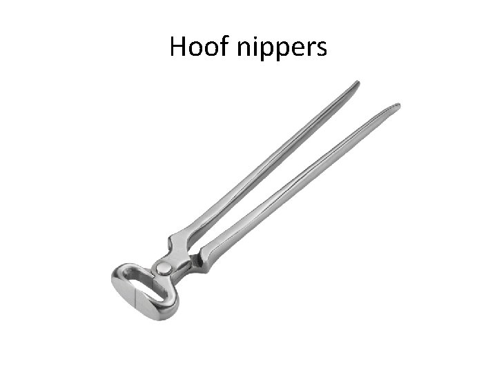Hoof nippers 