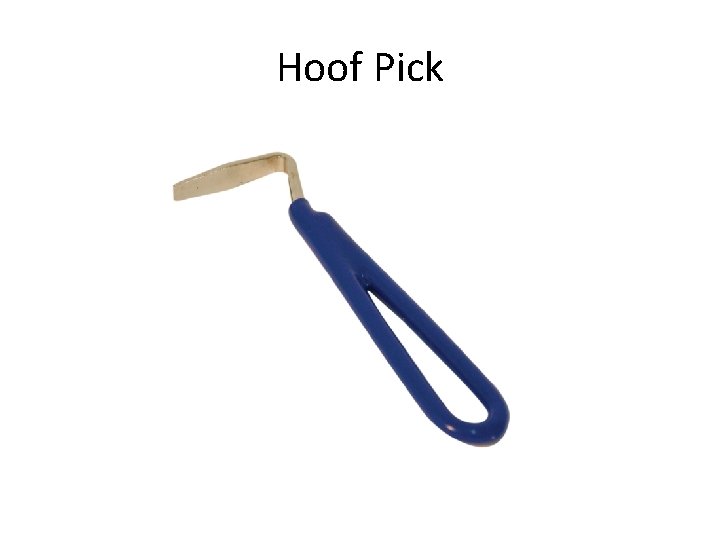Hoof Pick 