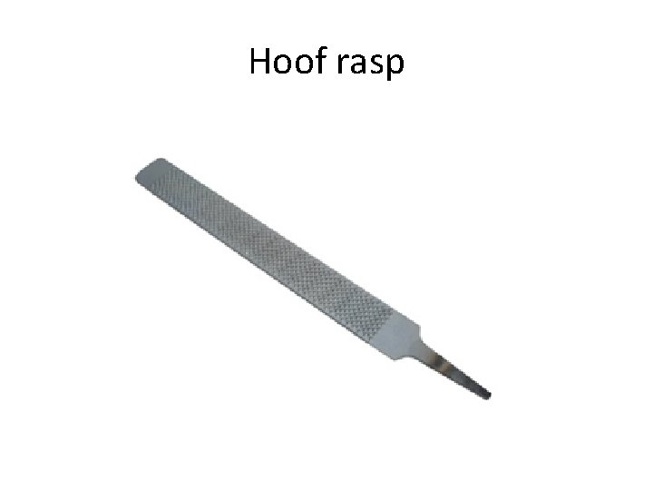Hoof rasp 