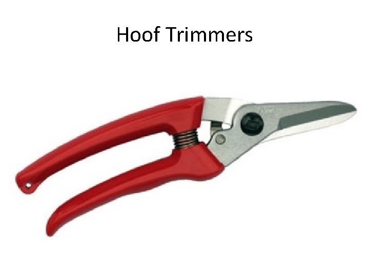Hoof Trimmers 
