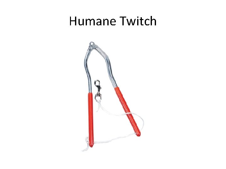 Humane Twitch 