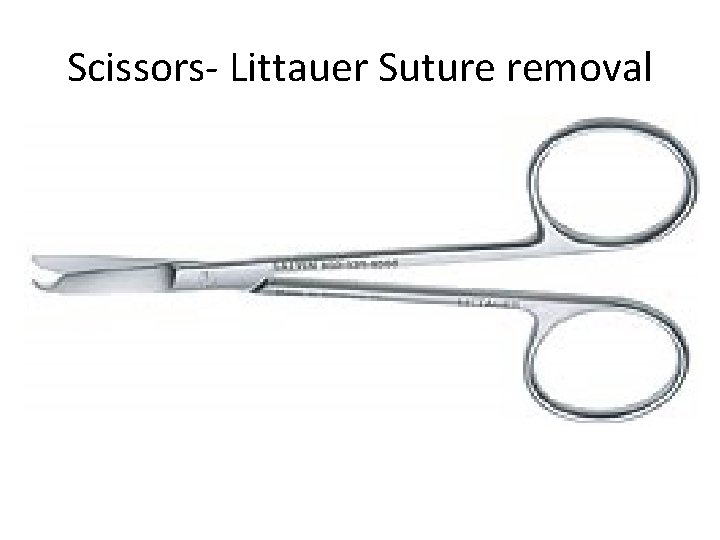 Scissors- Littauer Suture removal 