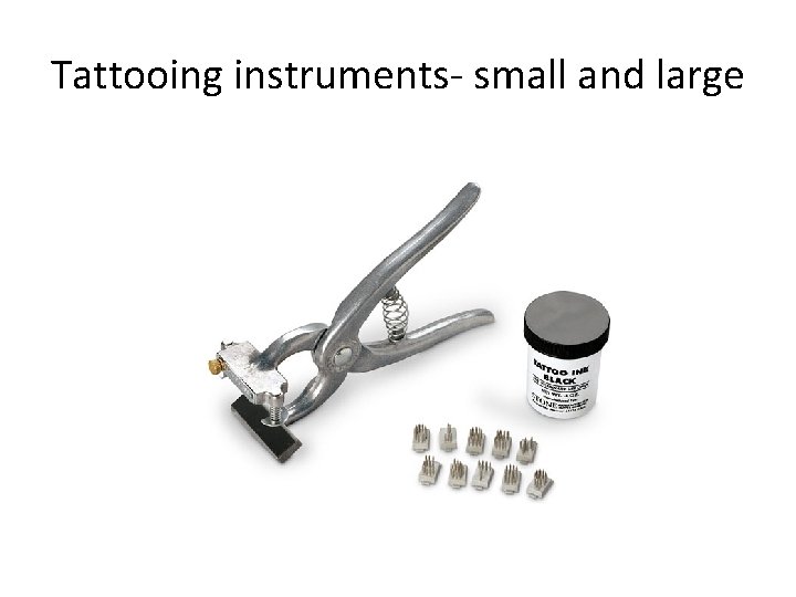 Tattooing instruments- small and large 