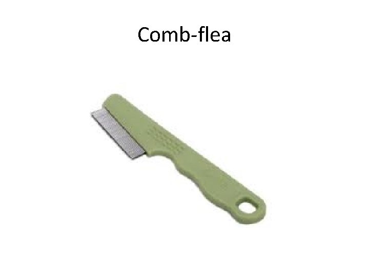 Comb-flea 