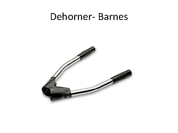 Dehorner- Barnes 