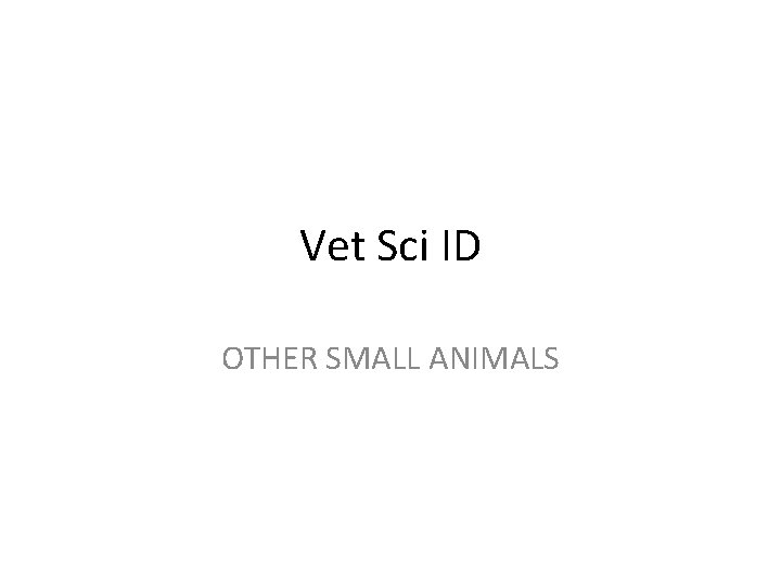 Vet Sci ID OTHER SMALL ANIMALS 
