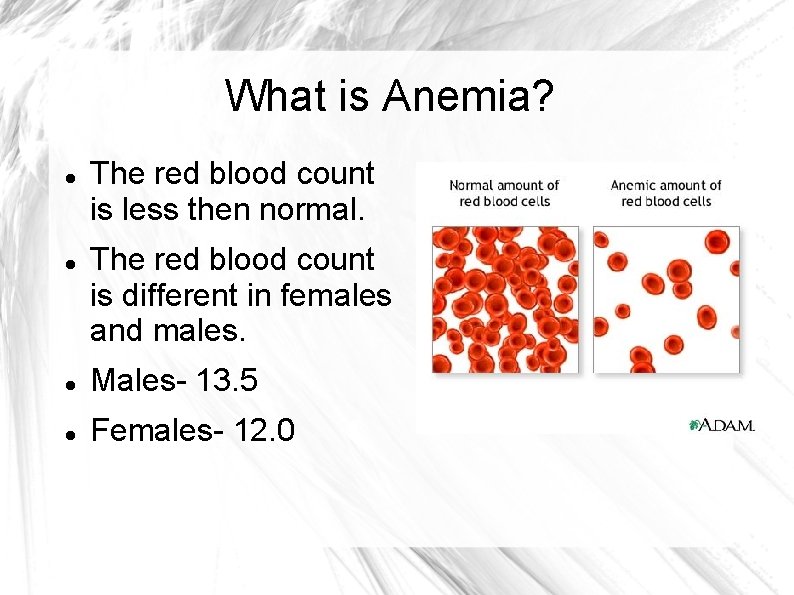 What is Anemia? The red blood count is less then normal. The red blood
