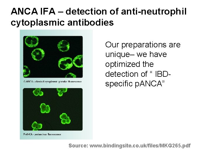 ANCA IFA – detection of anti-neutrophil cytoplasmic antibodies Our preparations are unique– we have