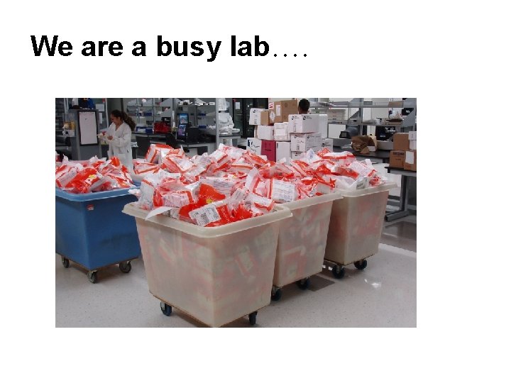 We are a busy lab…. 