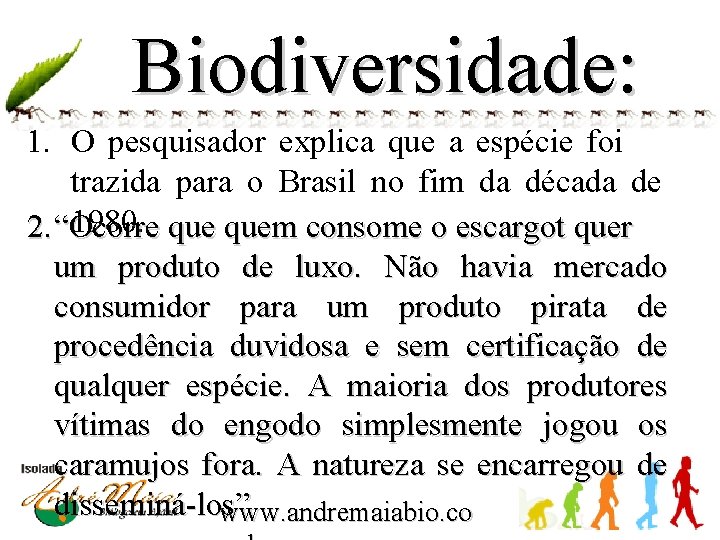 Biodiversidade: 1. O pesquisador explica que a espécie foi trazida para o Brasil no