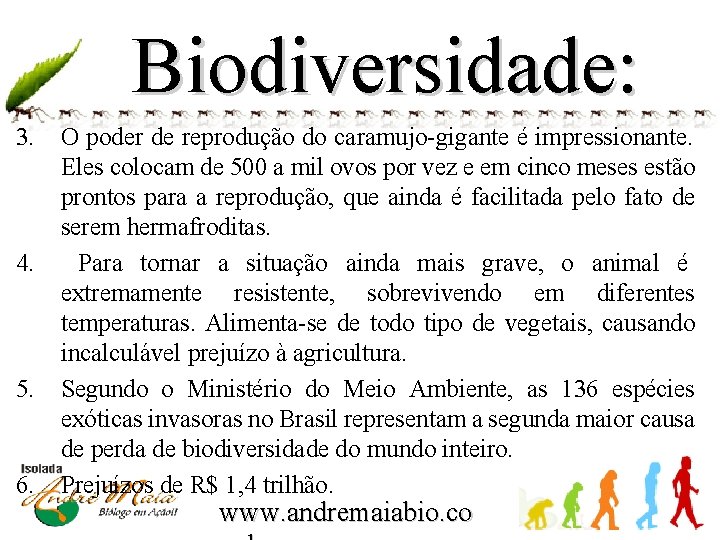 Biodiversidade: 3. 4. 5. 6. O poder de reprodução do caramujo-gigante é impressionante. Eles