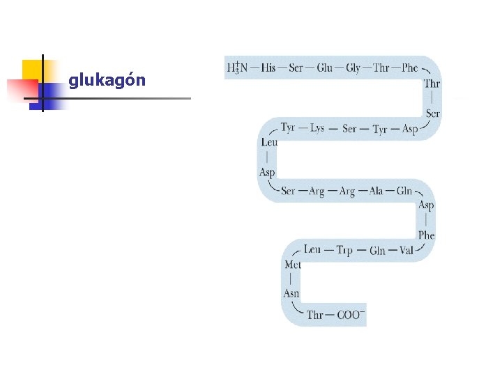 glukagón 