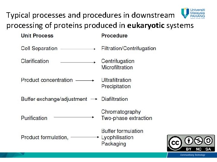 Typical processes and procedures in downstream processing of proteins produced in eukaryotic systems 