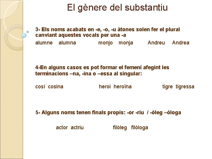 El gènere del substantiu 3 - Els noms acabats en -e, -o, -u àtones