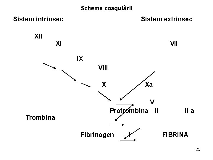 Schema coagulării Sistem intrinsec XII XI Sistem extrinsec VII IX VIII Xa V Protrombina