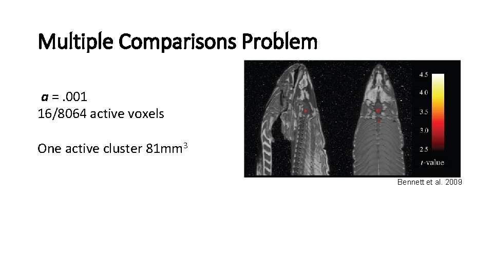 Multiple Comparisons Problem a =. 001 16/8064 active voxels One active cluster 81 mm