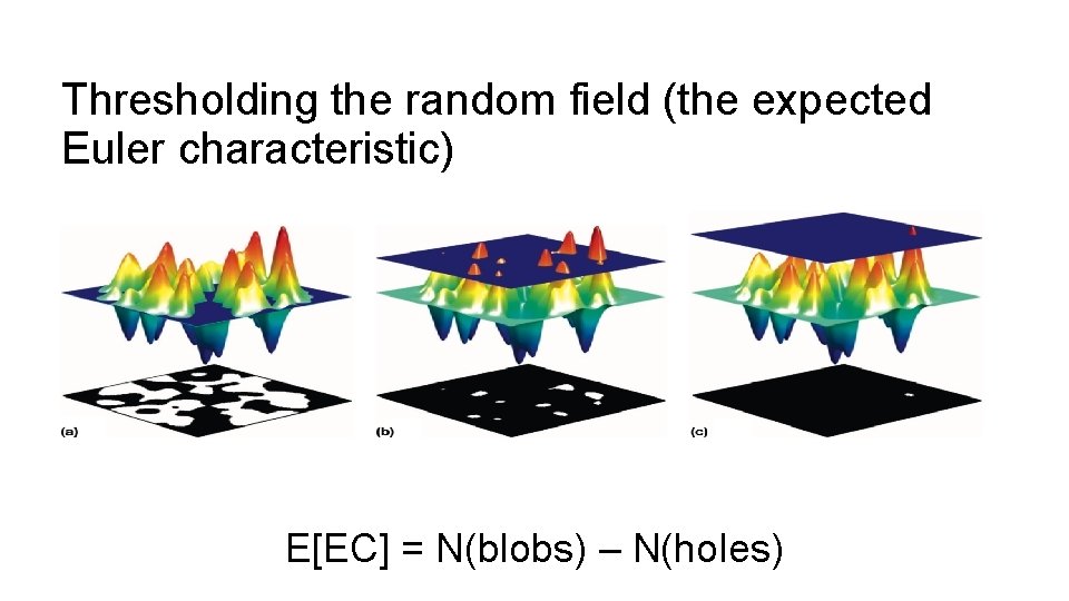 Thresholding the random field (the expected Euler characteristic) E[EC] = N(blobs) – N(holes) 