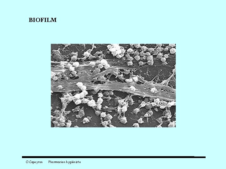 BIOFILM O. Capeyron Pharmacien hygiéniste 